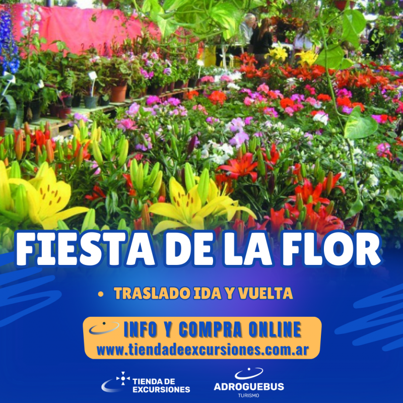 Fiesta de la Flor